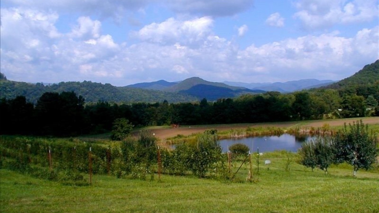 Photo of Others in Hot Springs