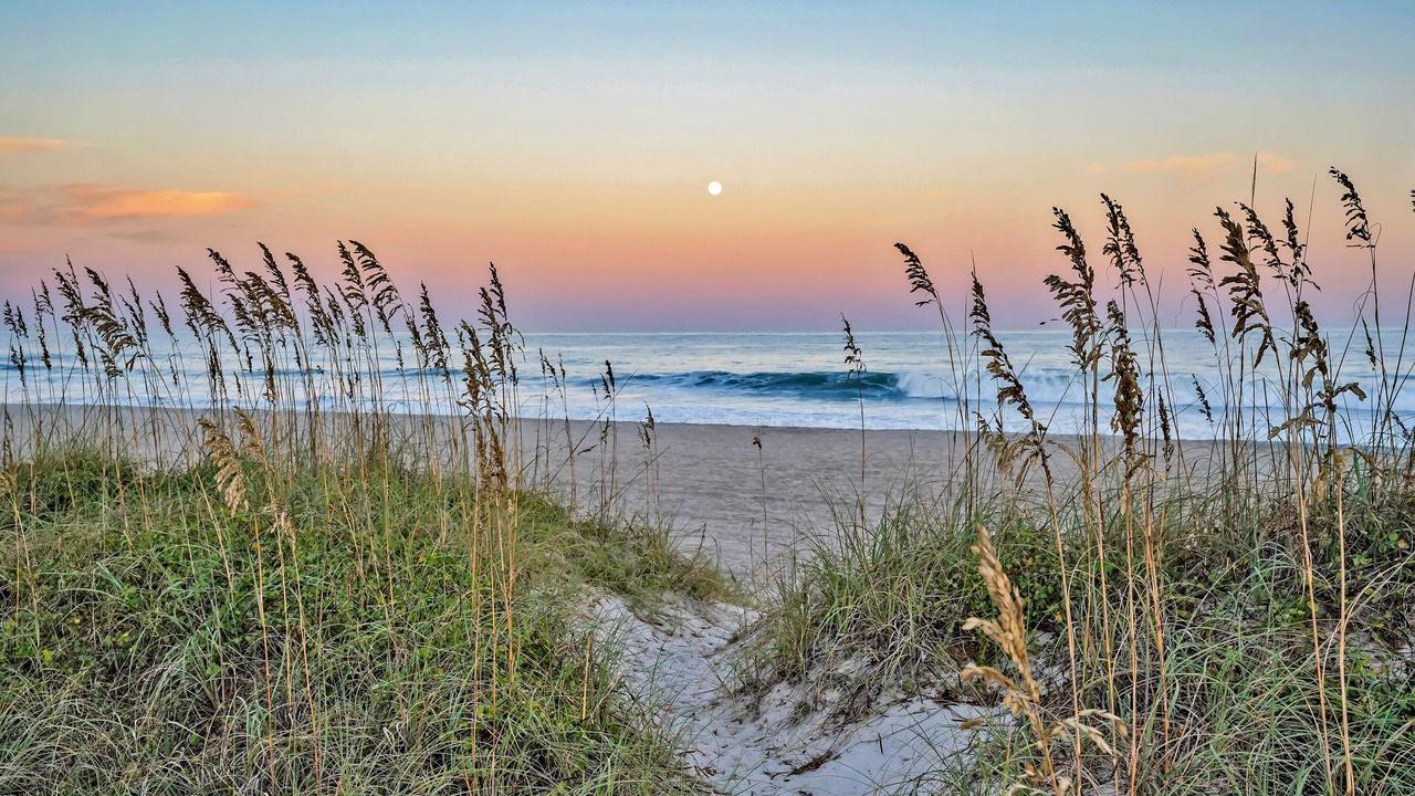 Photo of Others in Carolina Beach