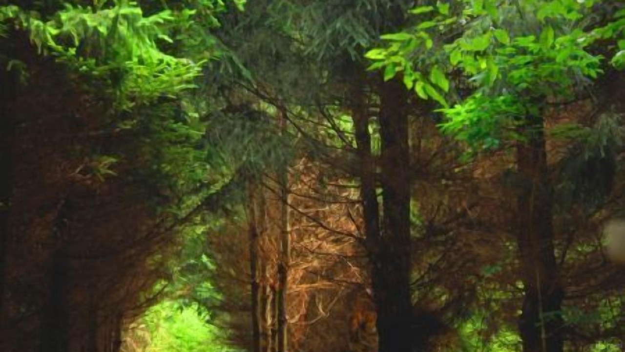 Photo of Others in Banner Elk