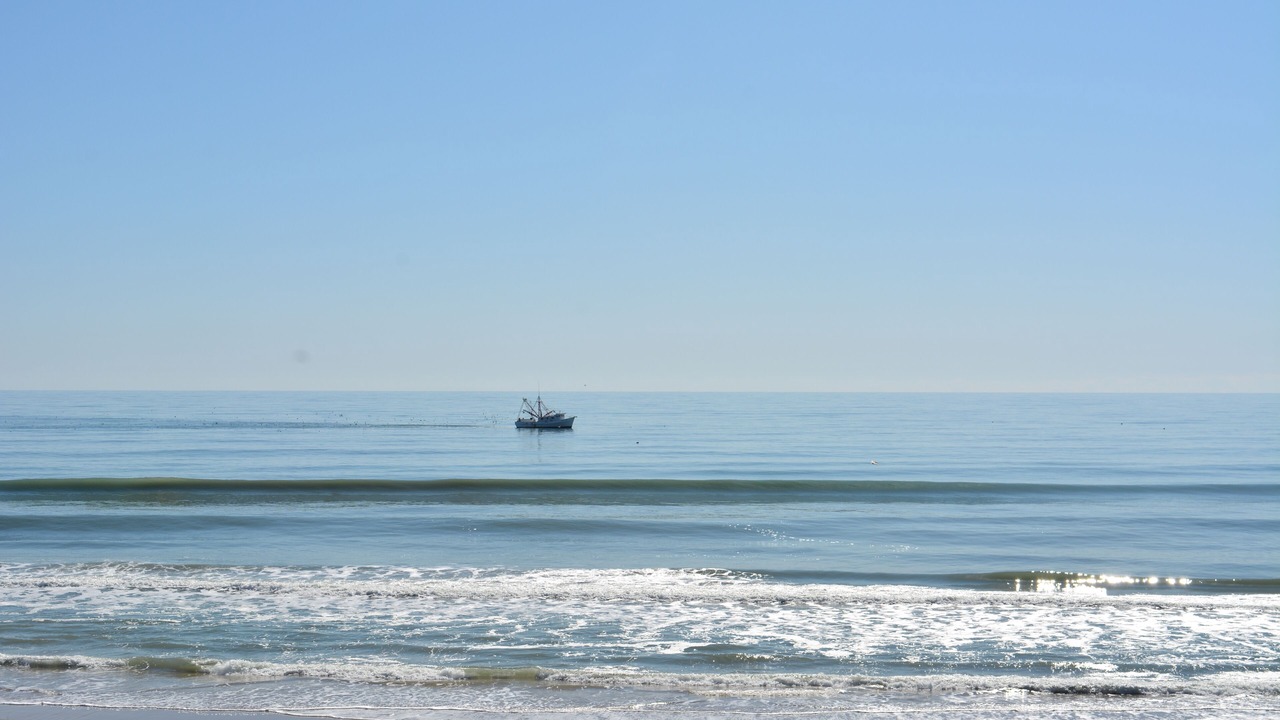 Photo of Others in Surf City