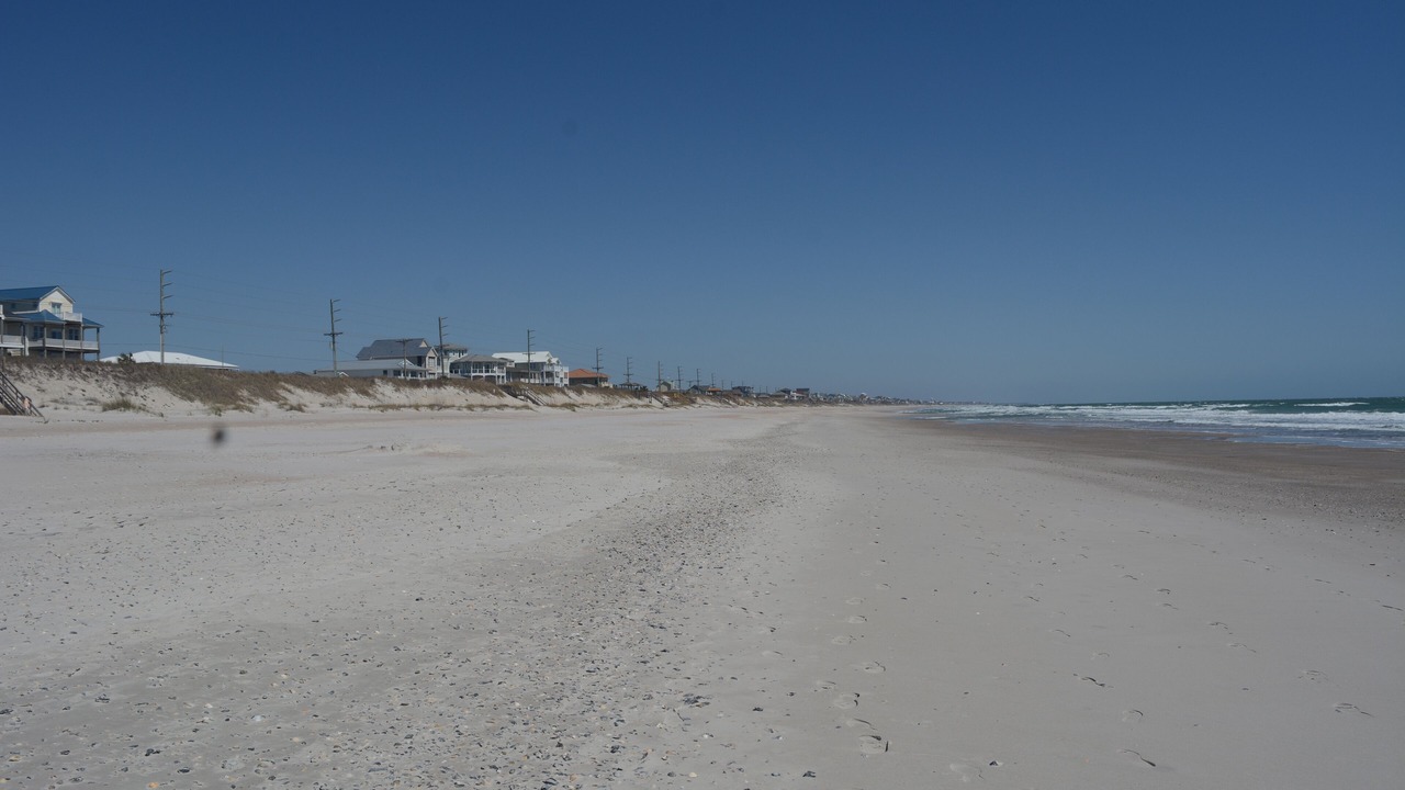 Photo of Others in Surf City
