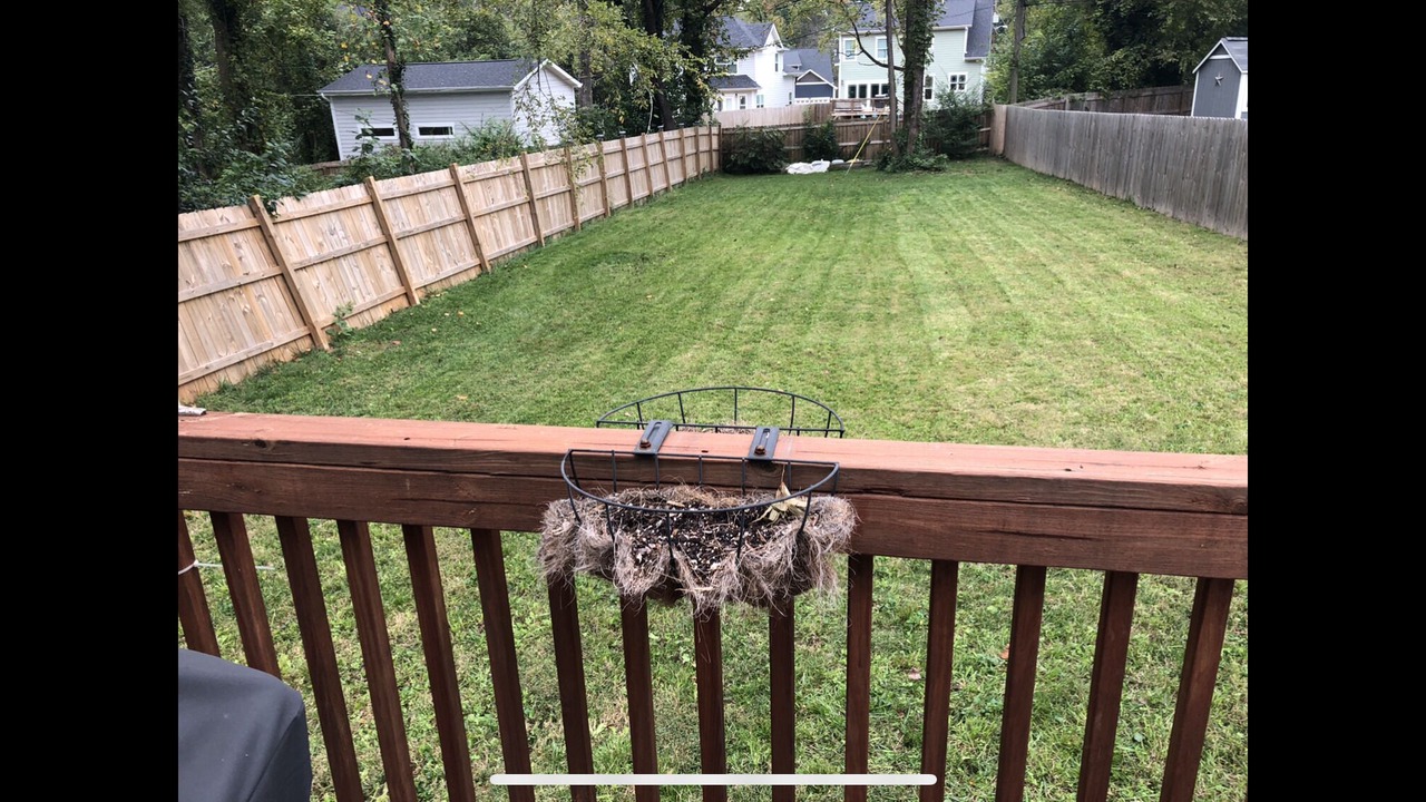 Photo of Outdoor in Villa Heights
