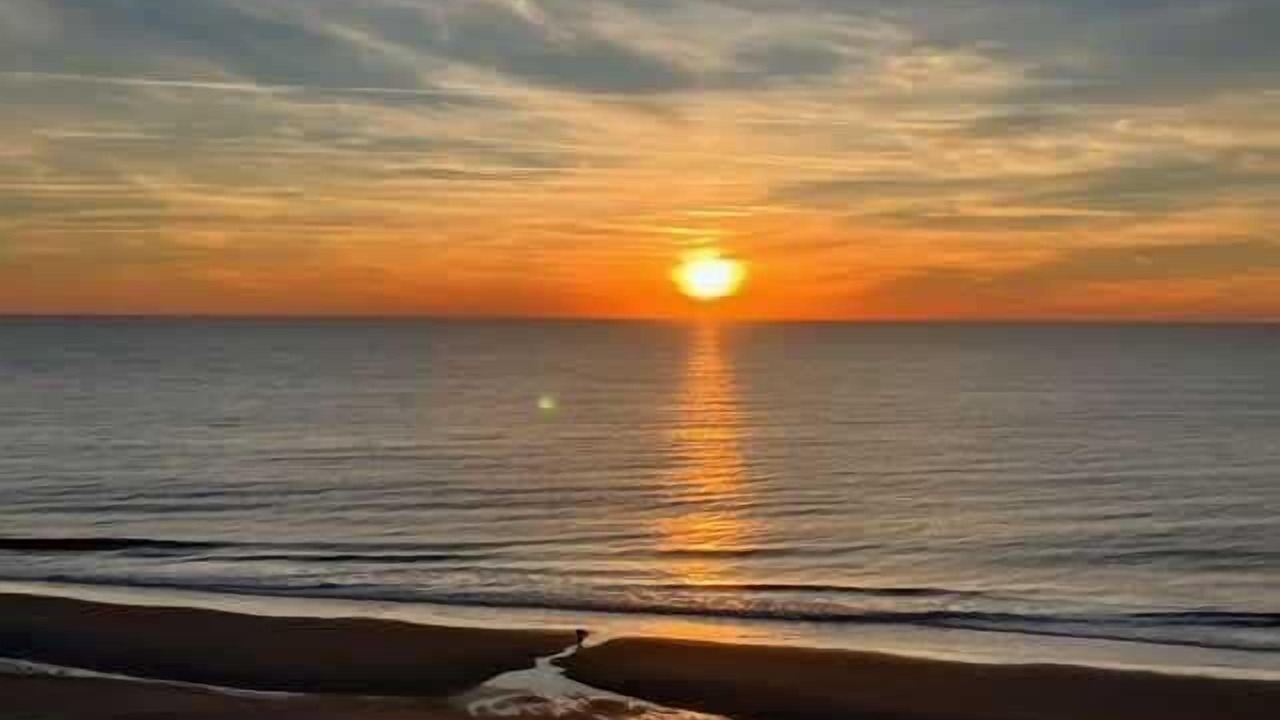 Photo of Others in Myrtle Beach