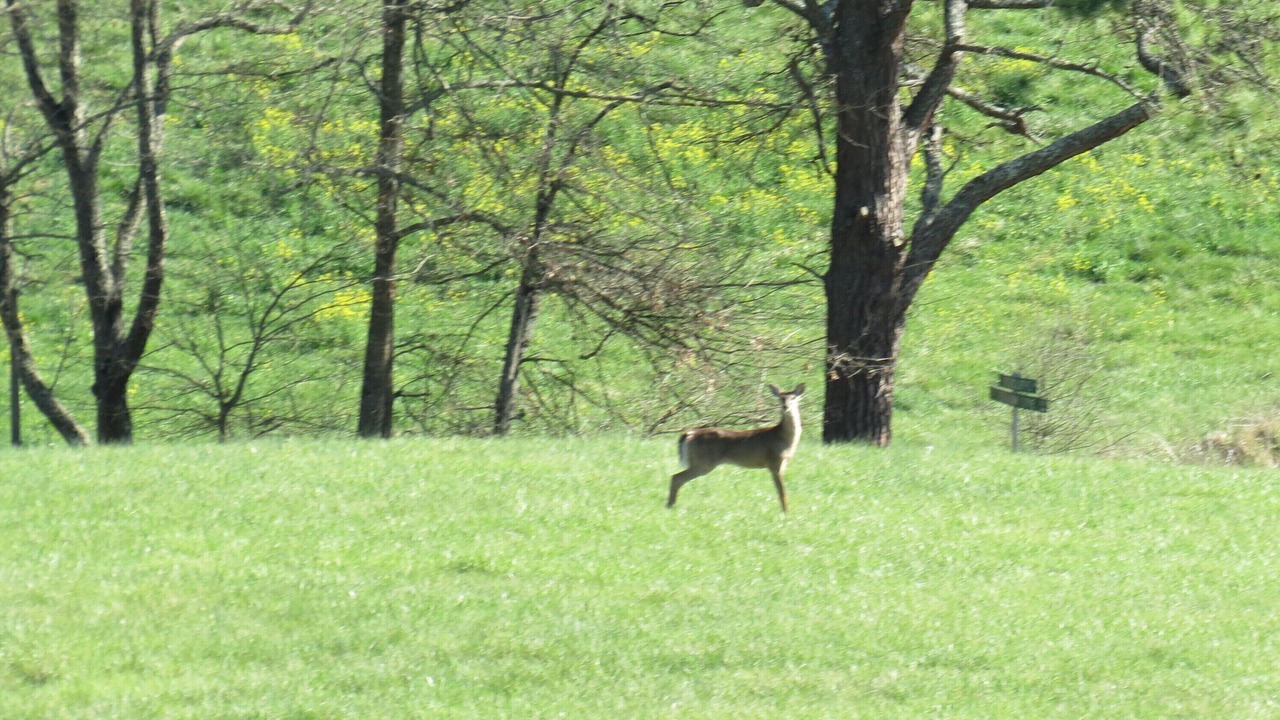 Photo of Others in Clyde
