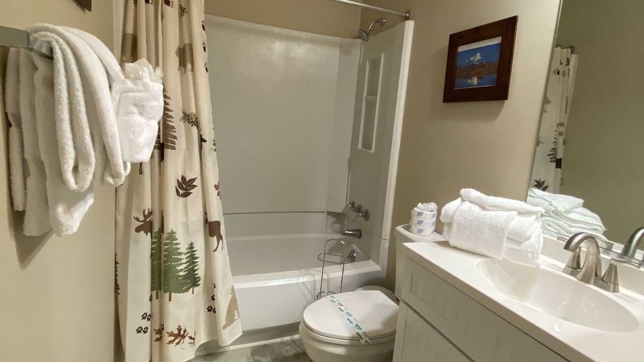 Photo of Bathroom in Sugar Mountain
