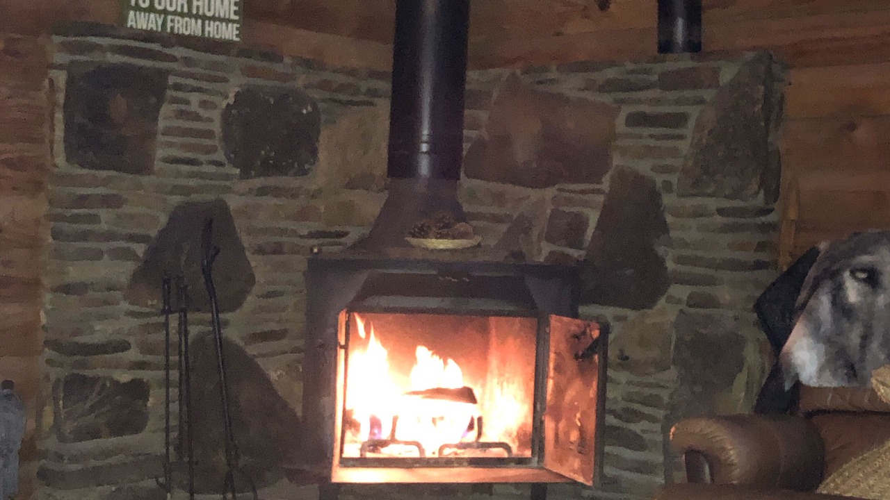 Photo of Livingroom in Brevard
