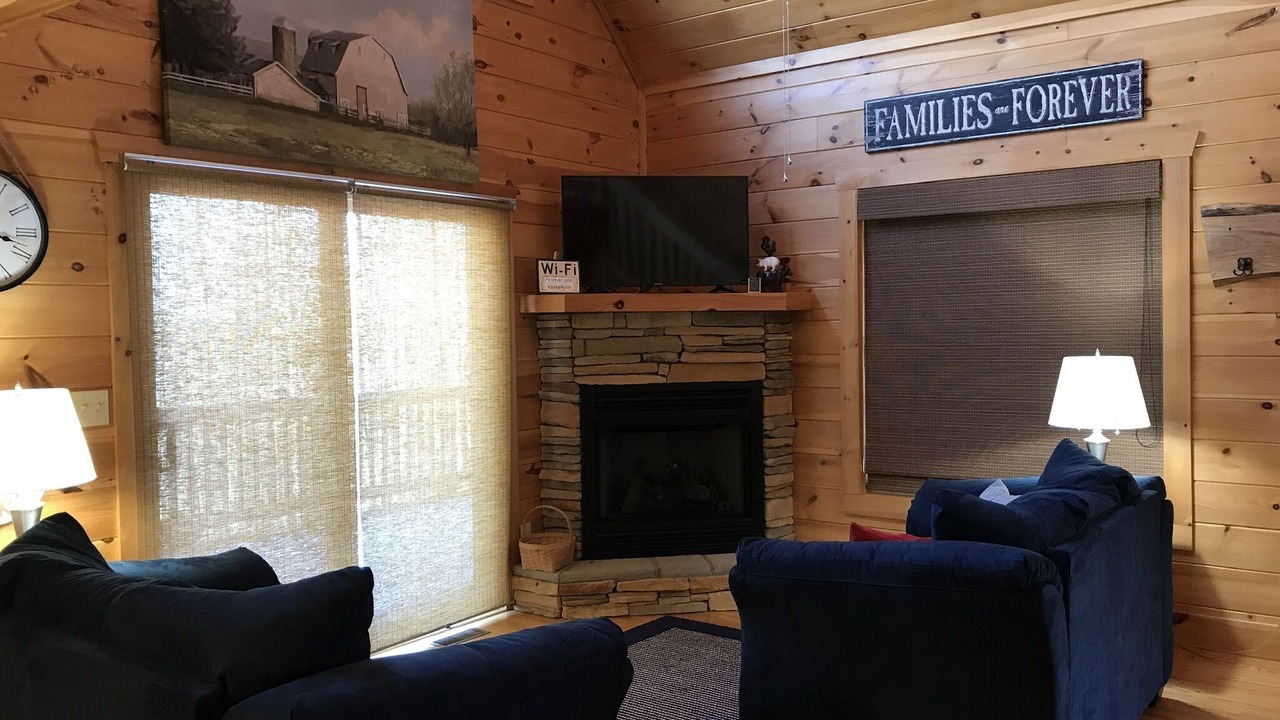 Photo of Livingroom in Vein Mountain