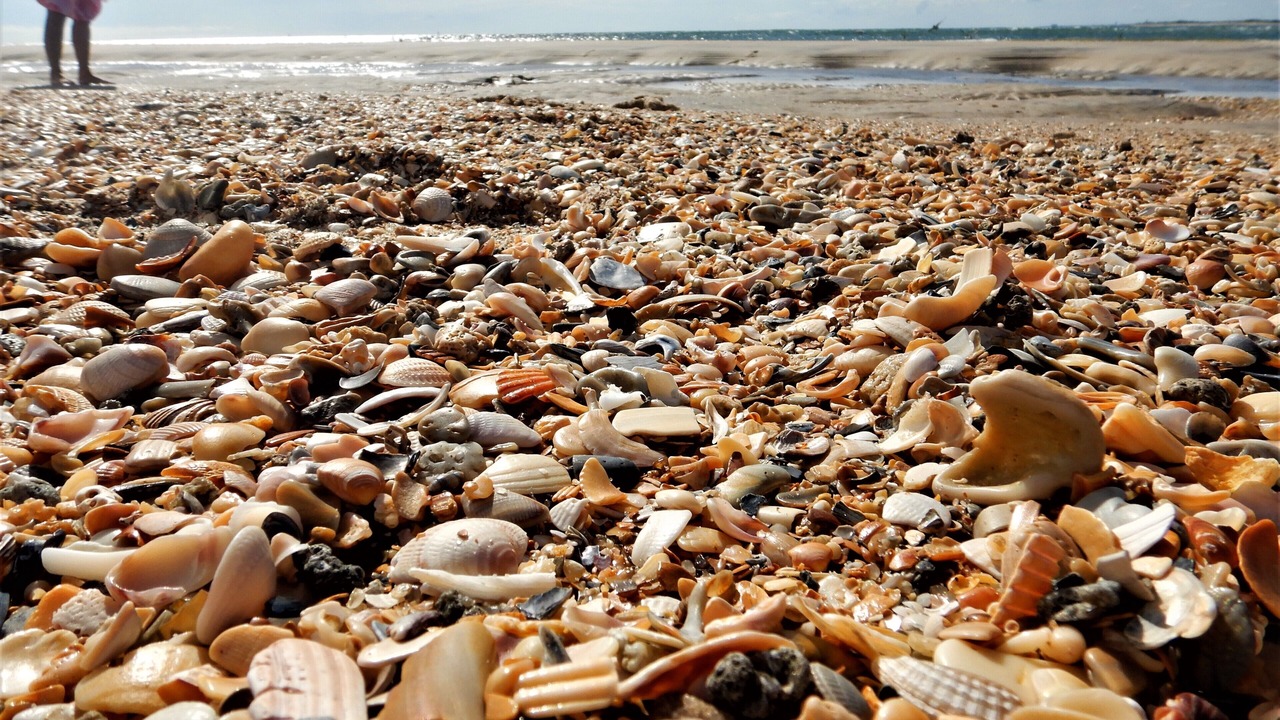 Photo of Others in Morehead City