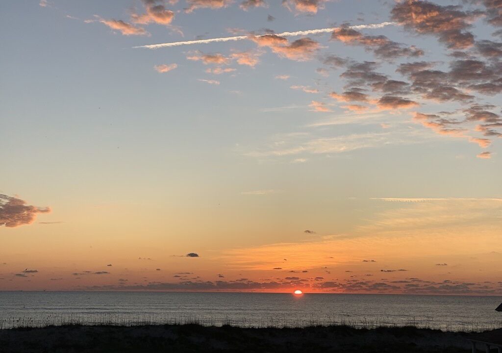Photo of Others in East Beach