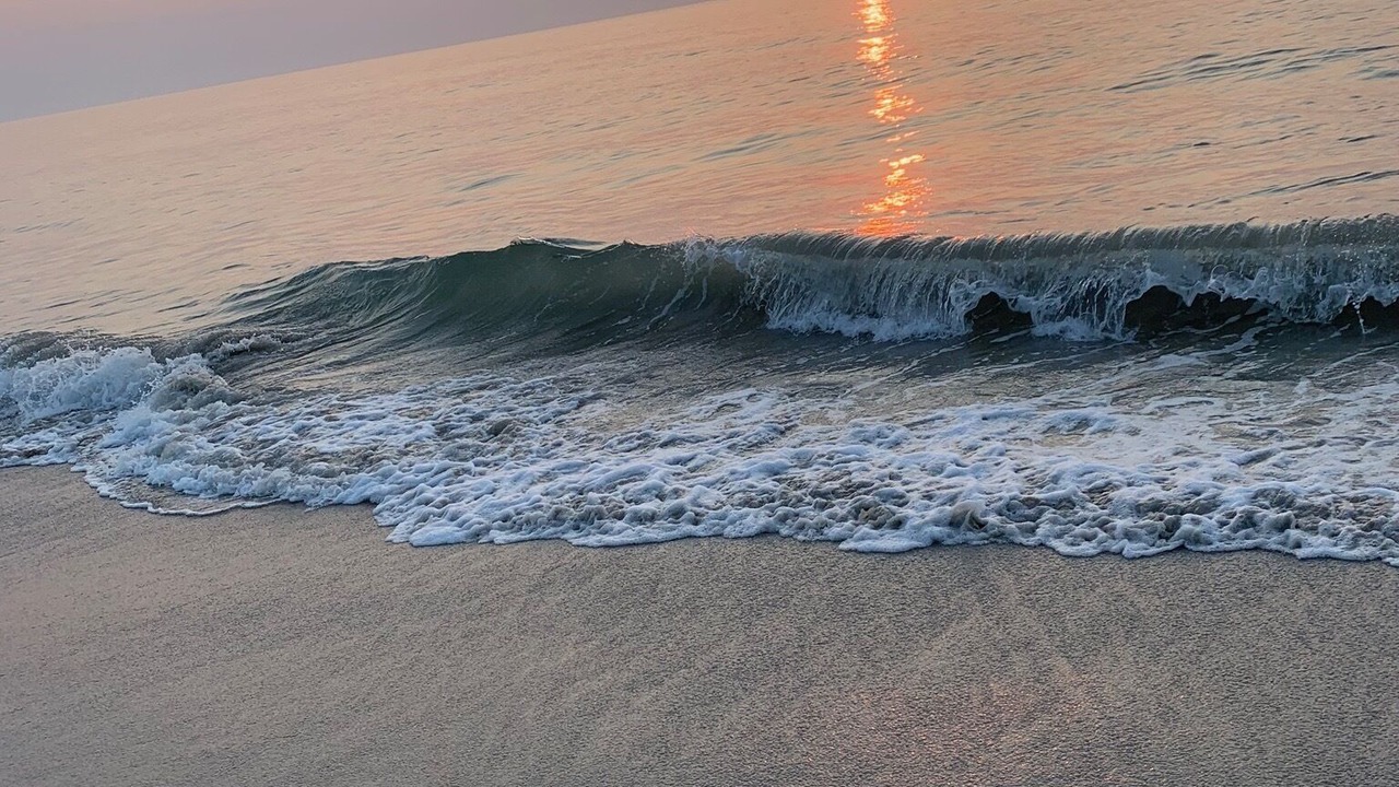 Photo of Others in East Beach