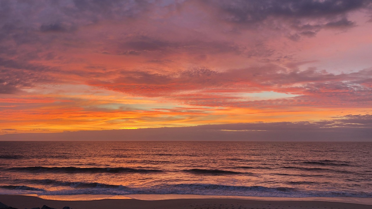 Photo of Others in North Carolina Coast