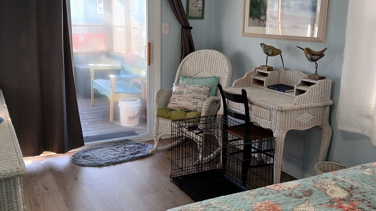 Photo of Outdoor in Kitty Hawk