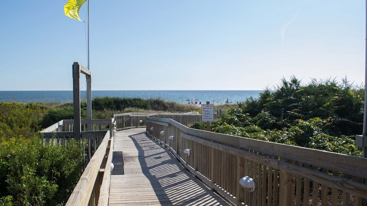 Photo of Others in Morehead City