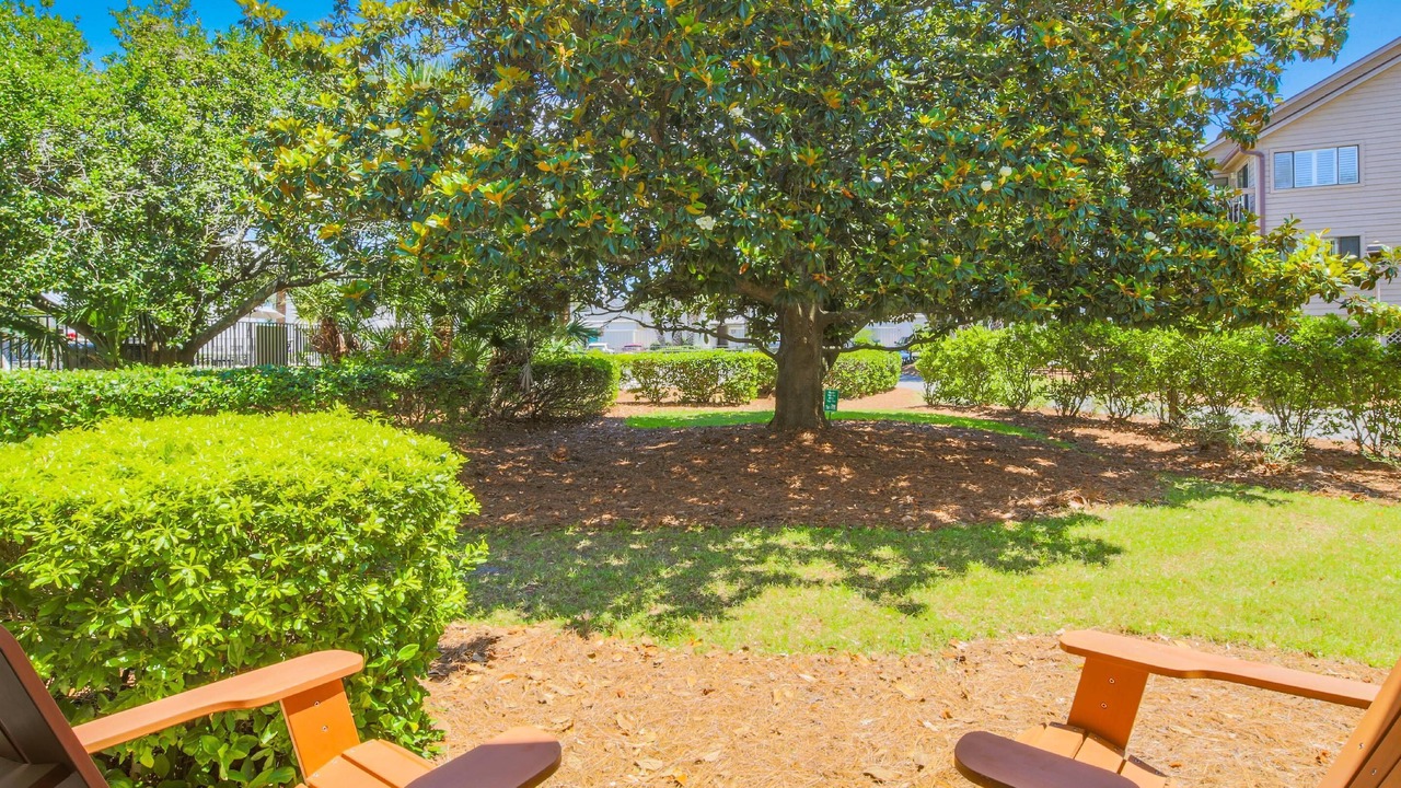 Photo of Outdoor in Palmetto Dunes