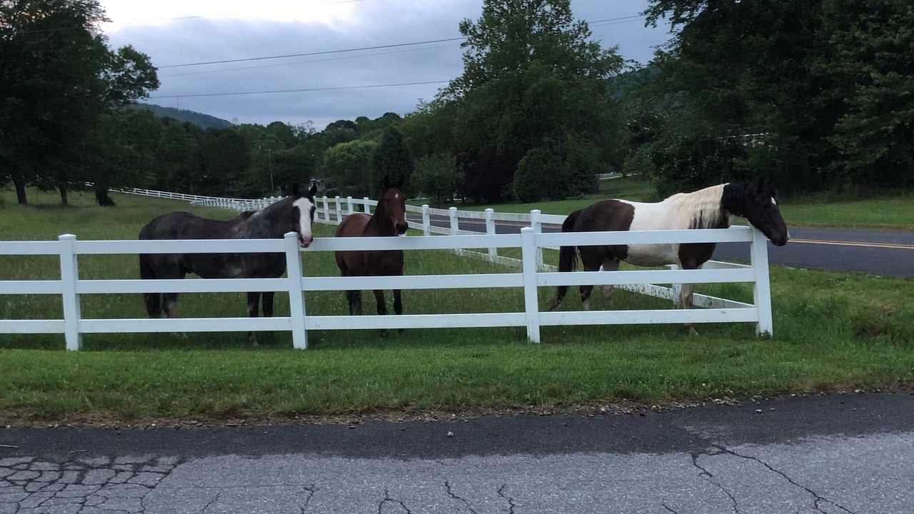 Photo of Others in Candler