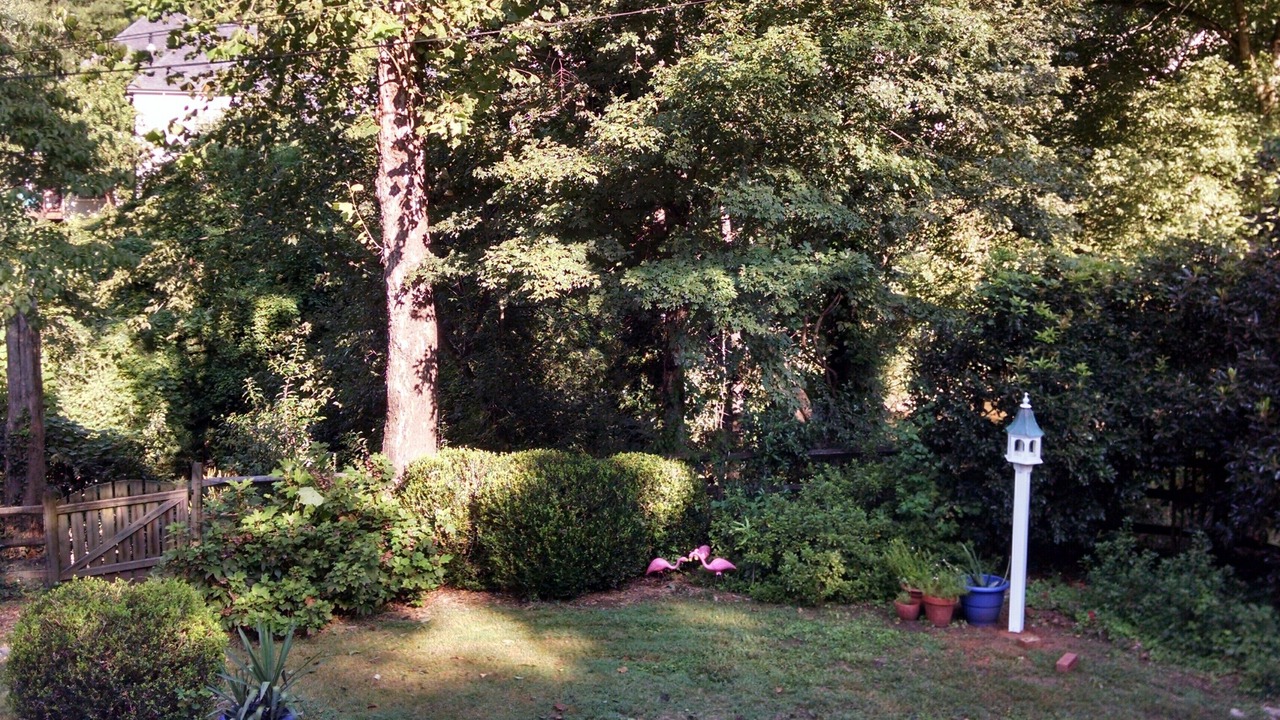 Photo of Others in Barclay Downs