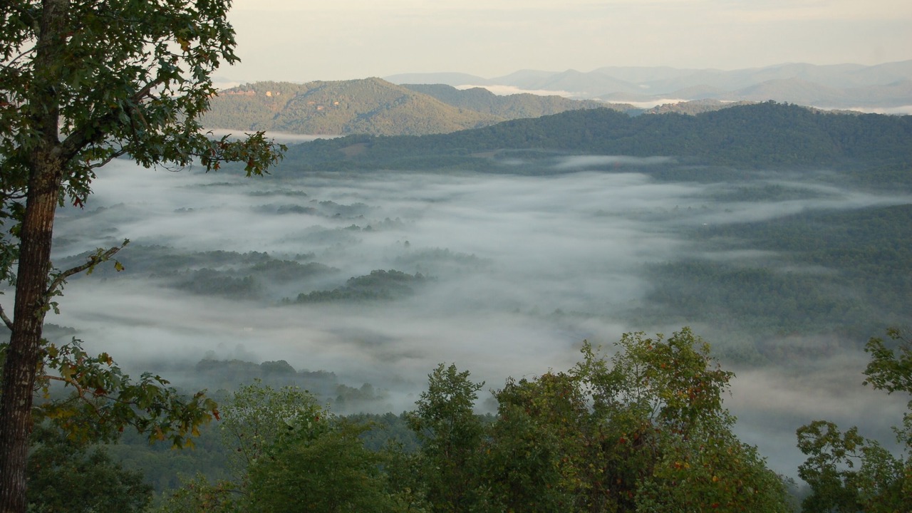 Photo of Others in Brasstown