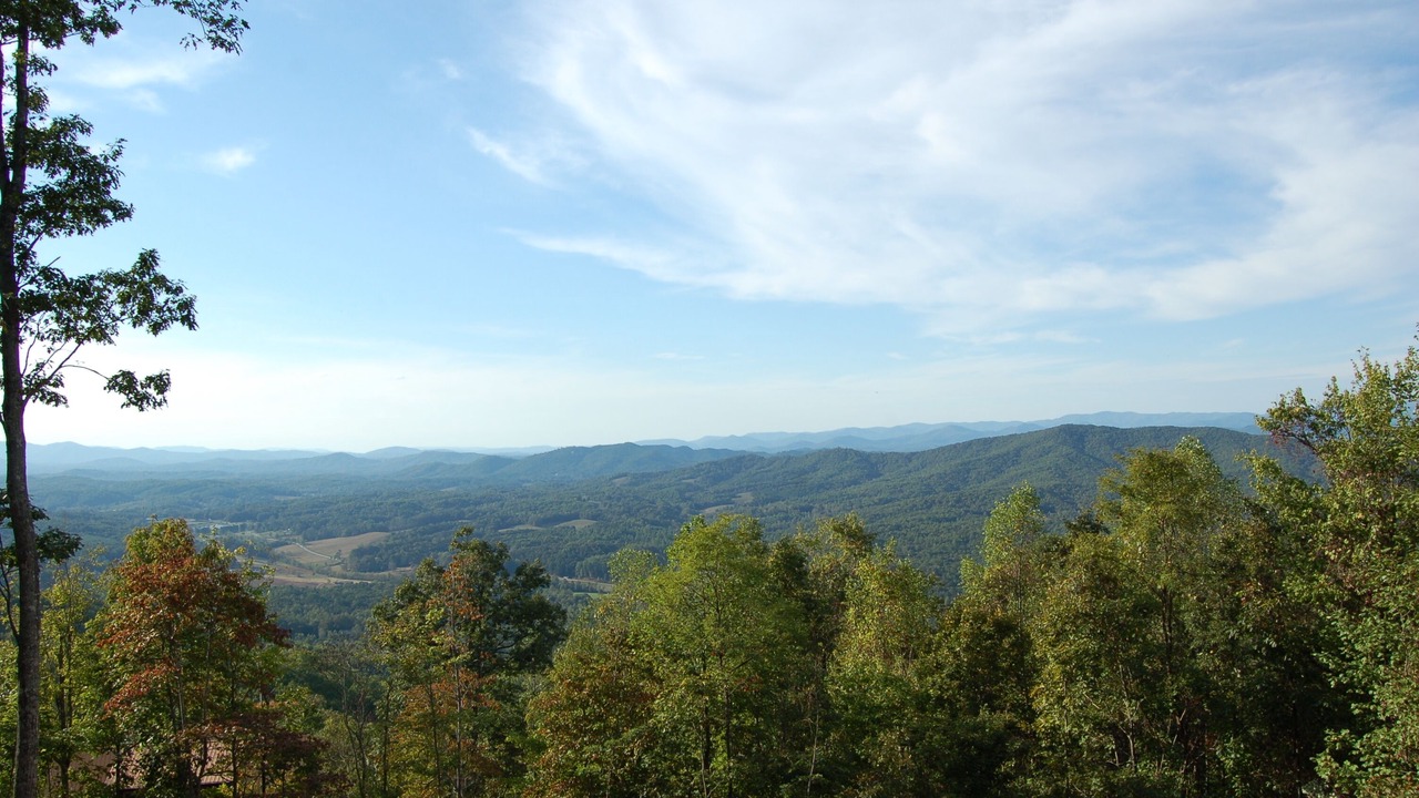 Photo of Others in Brasstown