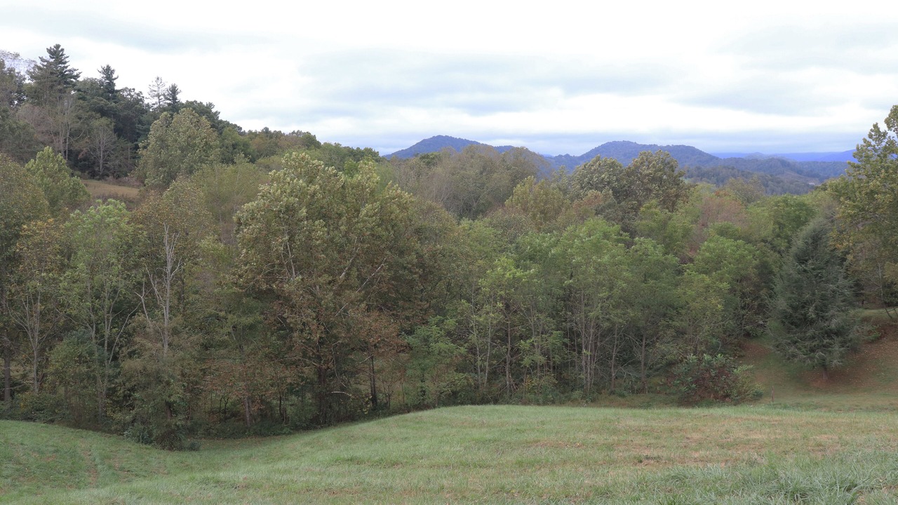 Photo of Outdoor in Clyde