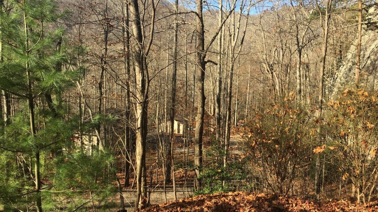 Photo of Outdoor in Otto