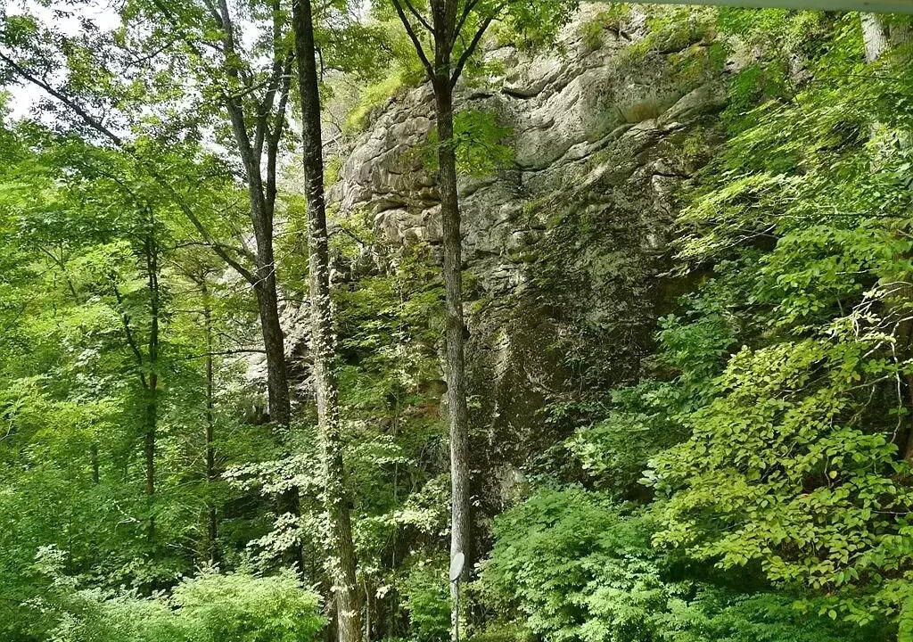 Photo of Outdoor in Otto