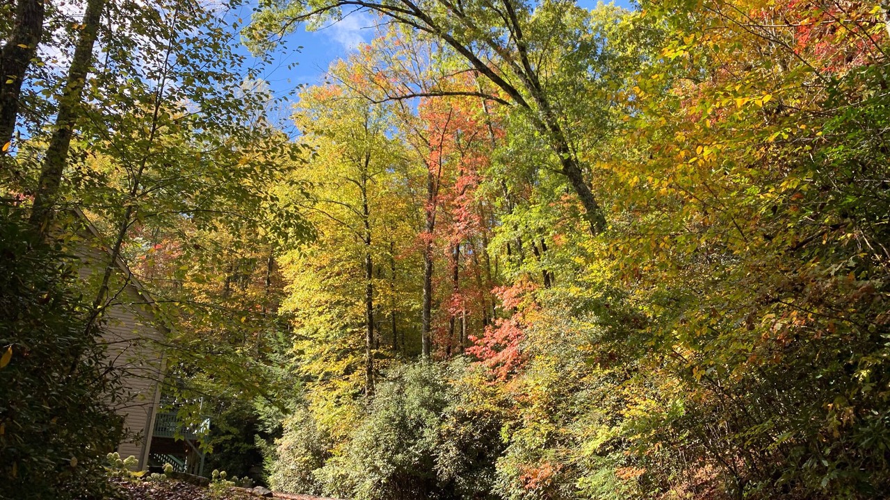 Photo of Outdoor in Rosman