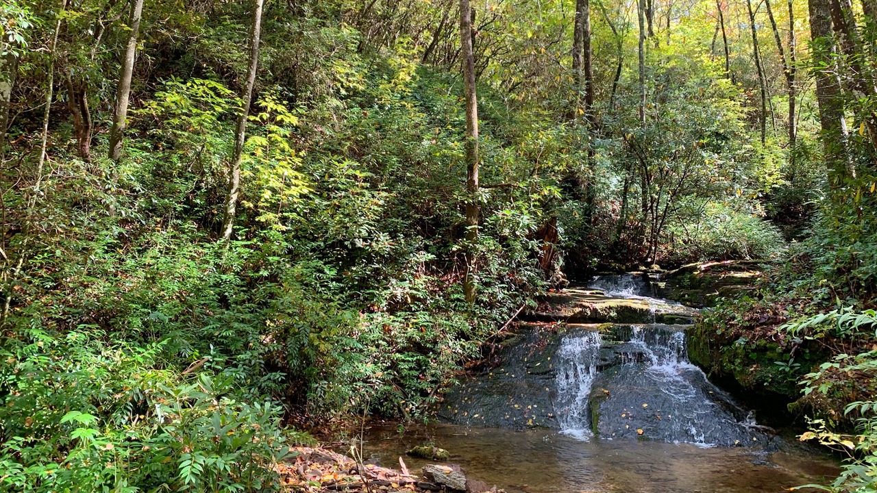 Photo of Outdoor in Rosman
