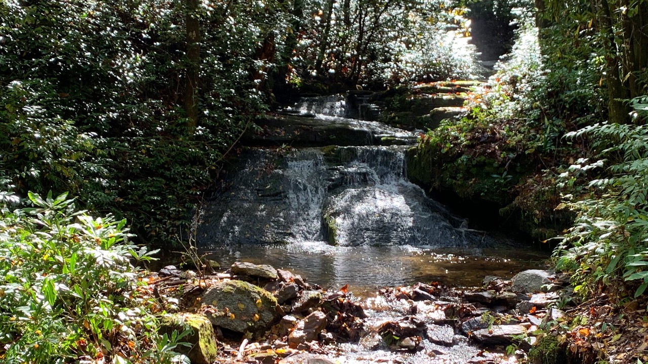 Photo of Others in Rosman