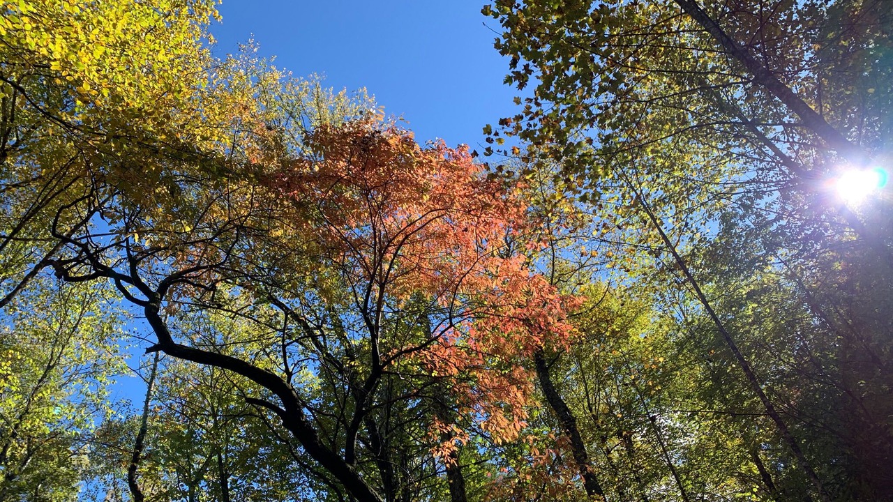 Photo of Outdoor in Rosman