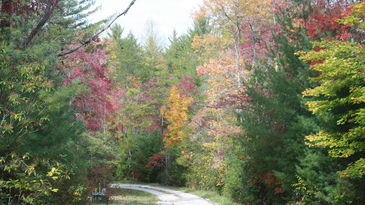Photo of Outdoor in Topton