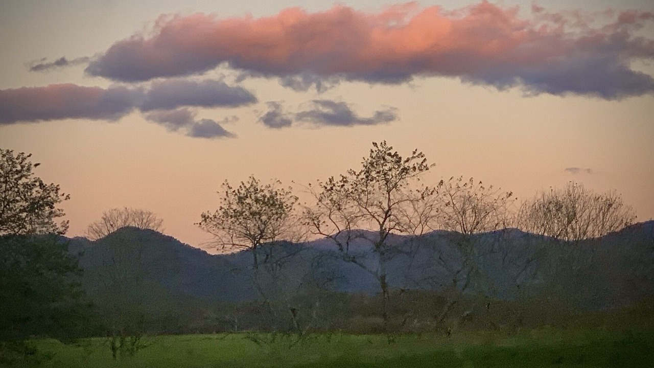 Photo of Others in Franklin