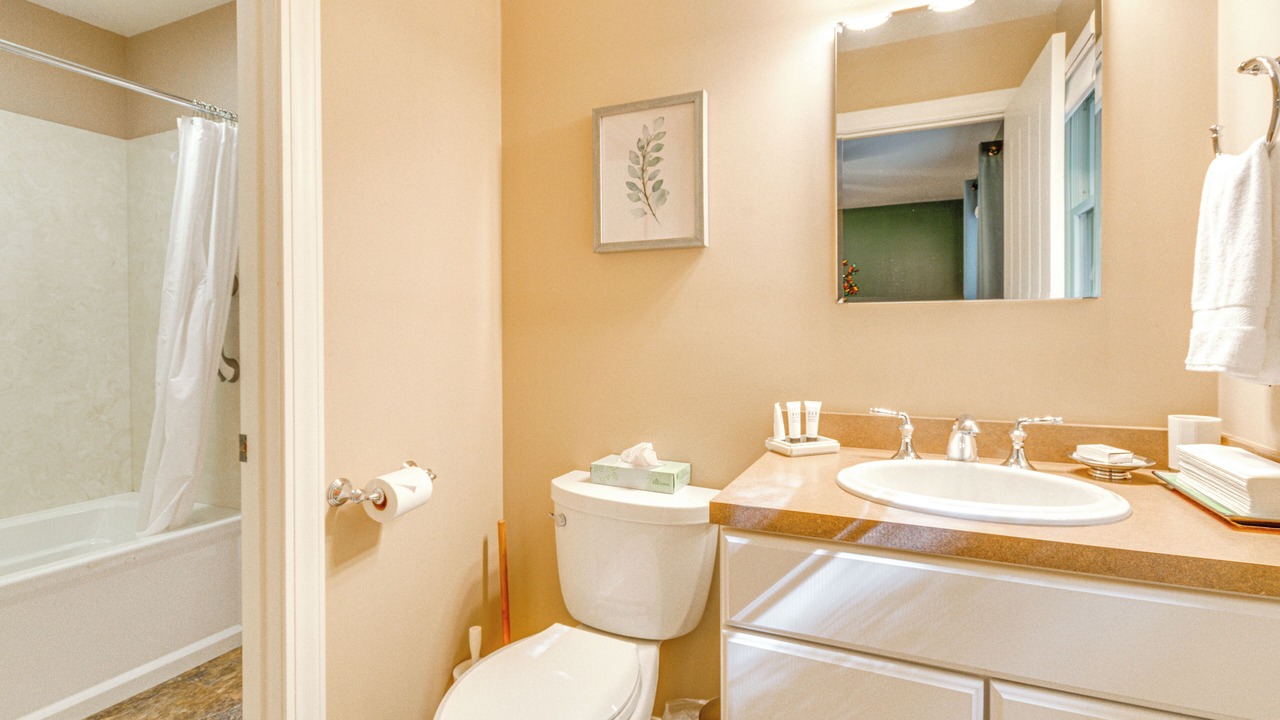 Photo of Bathroom in Black Mountain