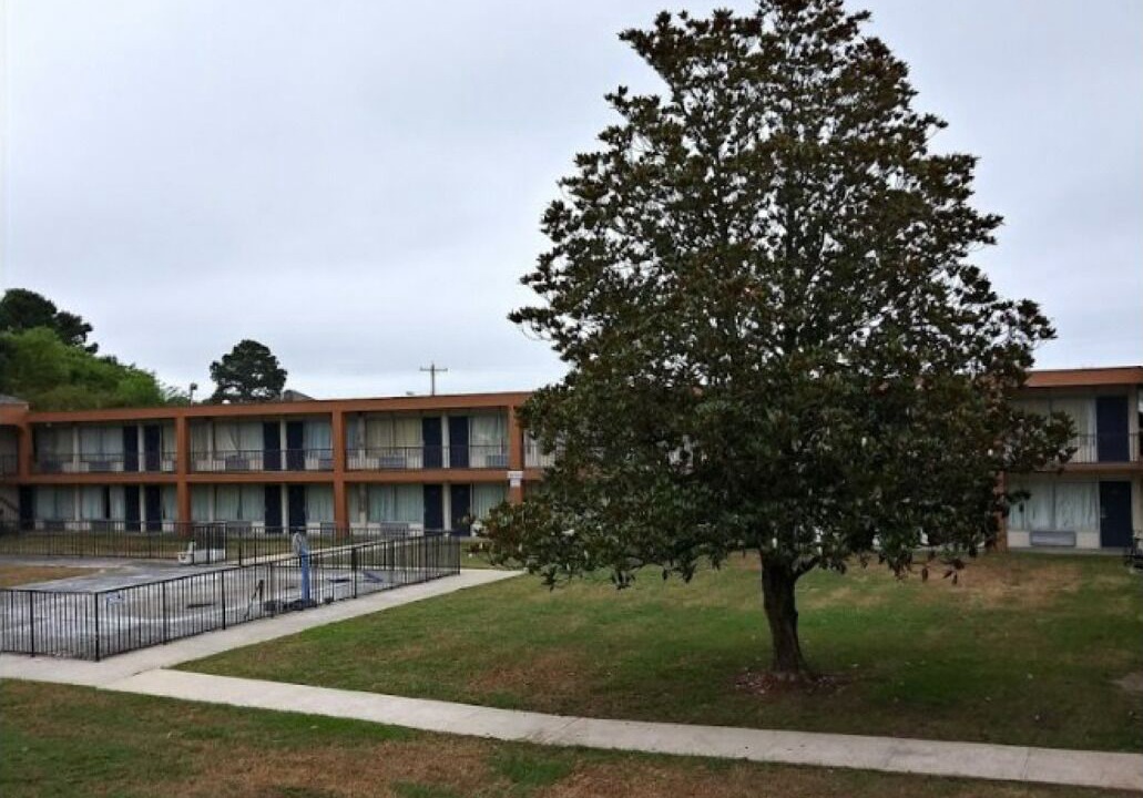 Photo of Outdoor in Wilson
