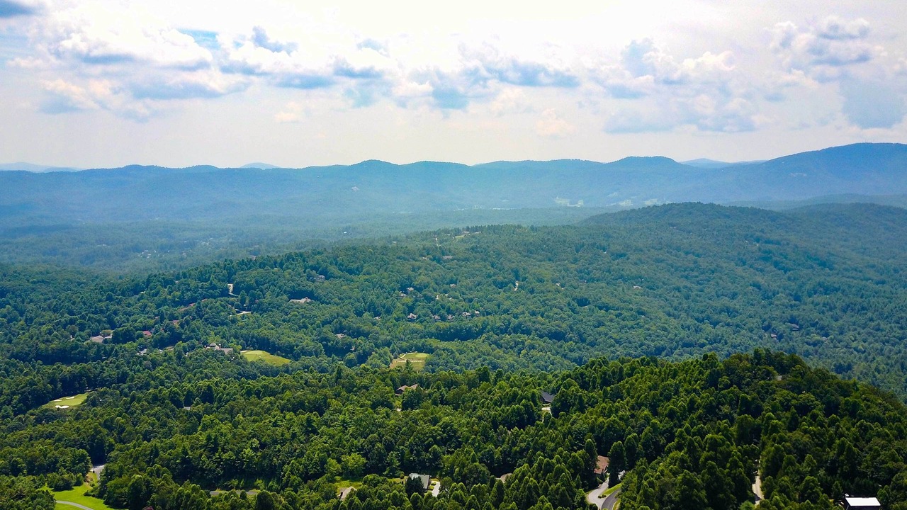 Photo of Others in Hendersonville