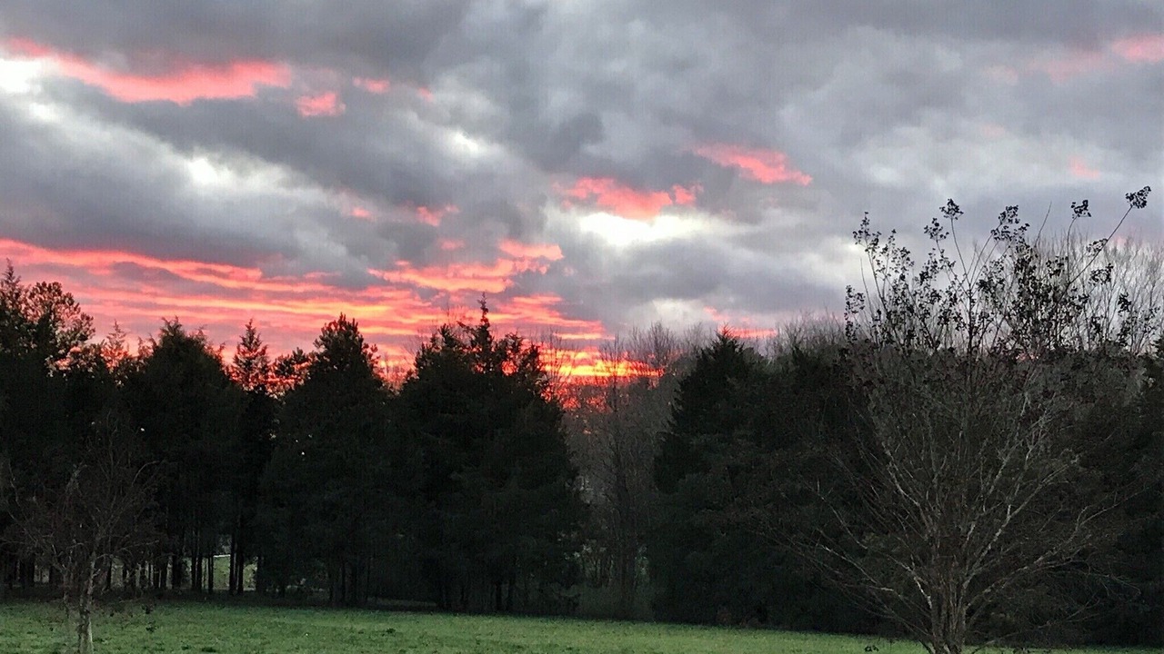 Photo of Outdoor in Fairview