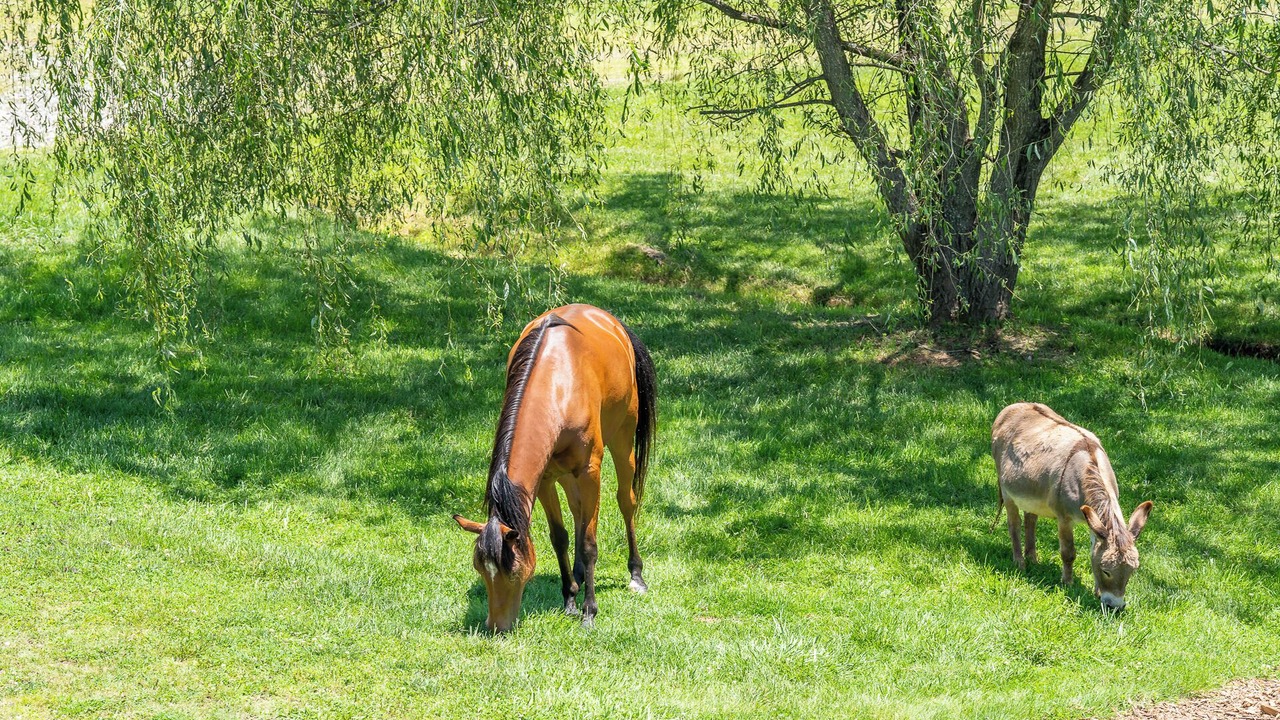 Photo of Outdoor in Leicester