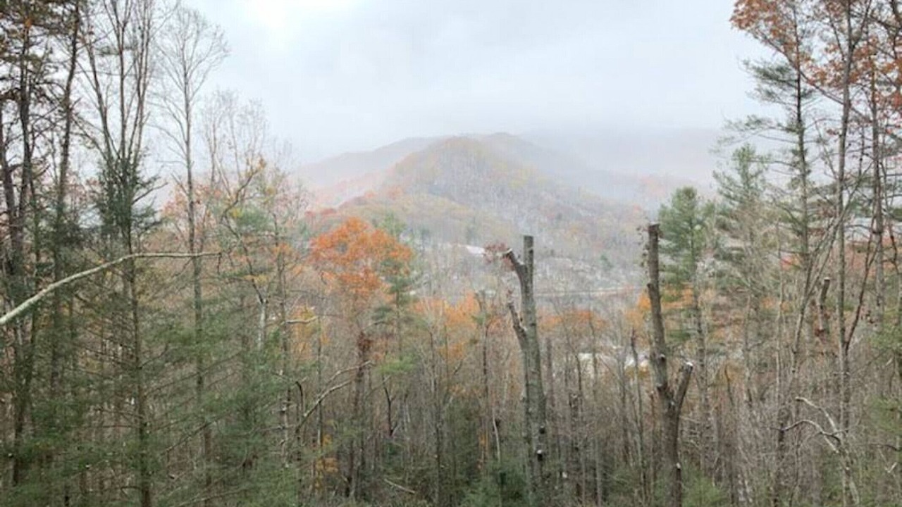 Photo of Others in Waynesville