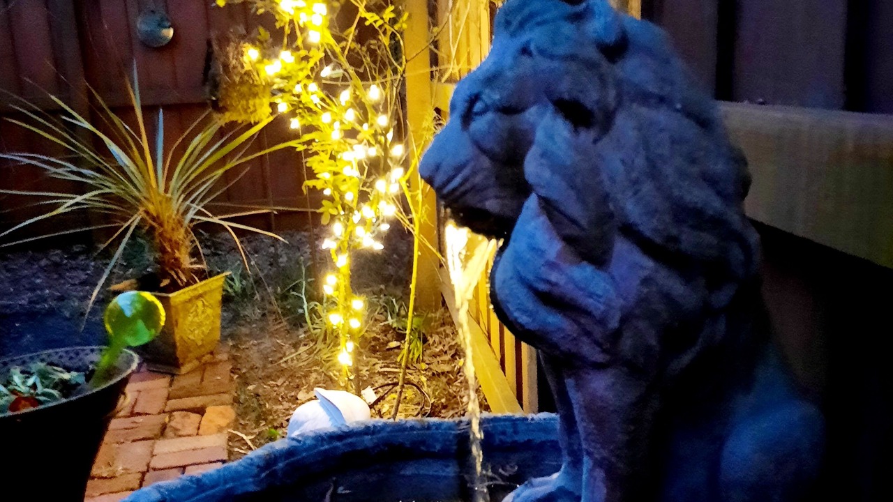 Photo of Outdoor in Wilmington