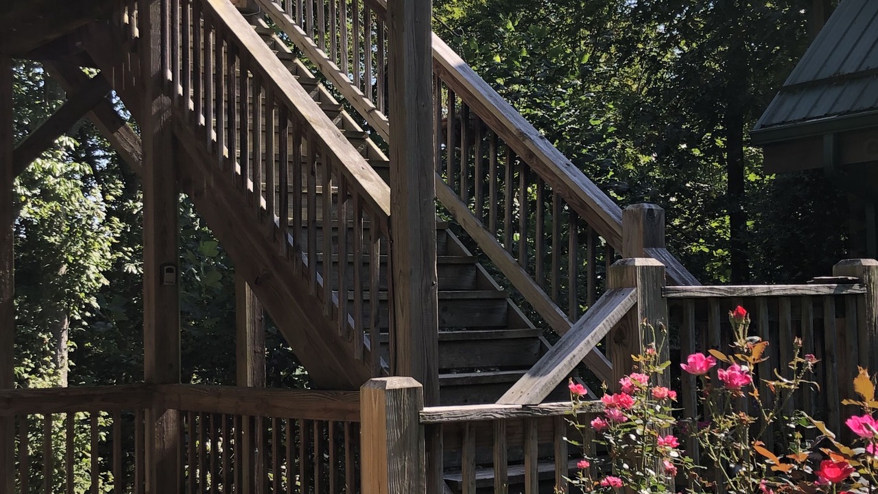 Photo of Outdoor in Vein Mountain