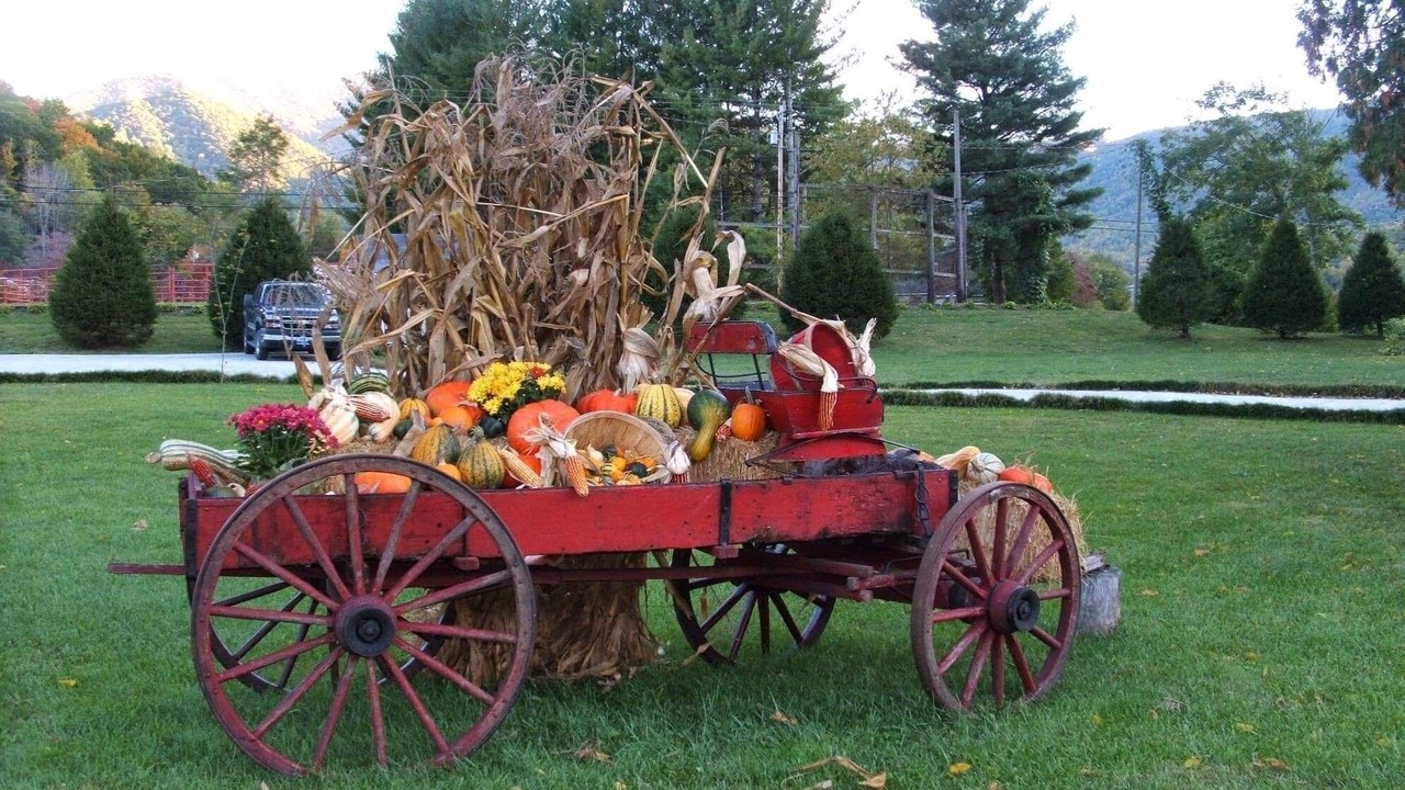 Photo of Others in Stecoah