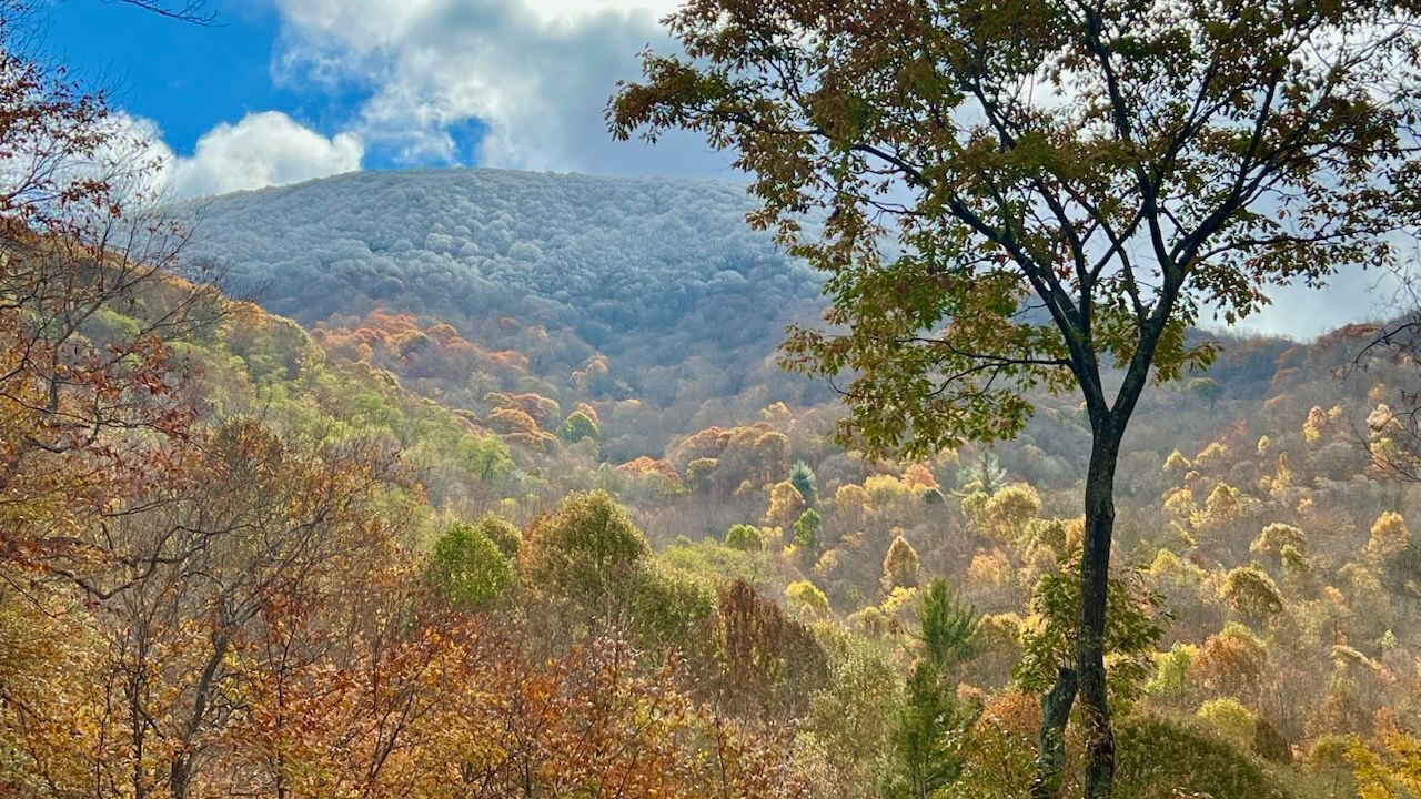 Photo of Outdoor in Zionville