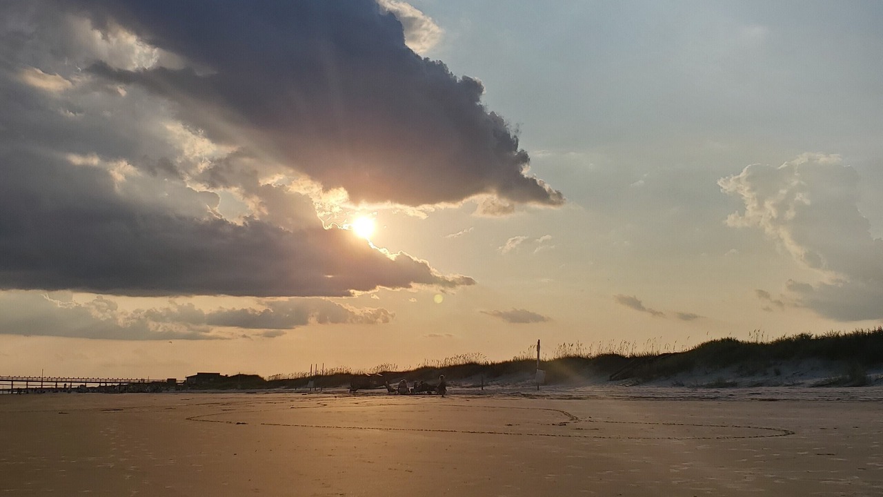 Photo of Others in Sea Trail