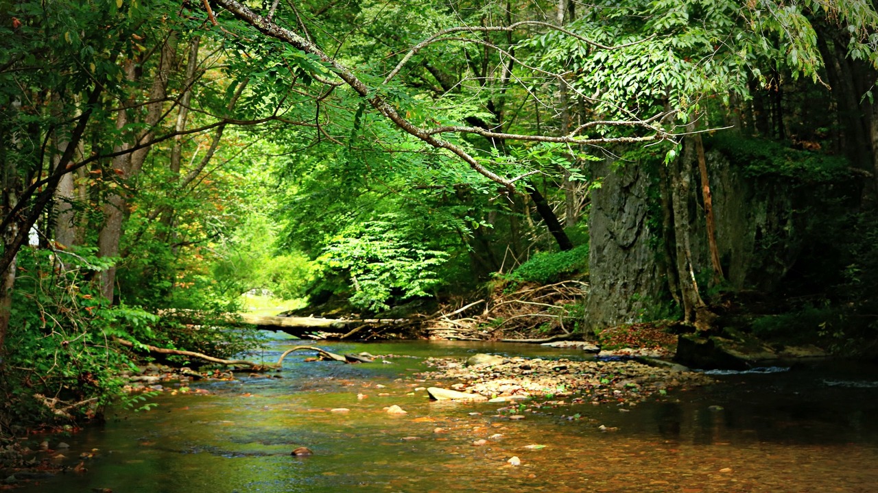 Photo of Outdoor in Grassy Creek
