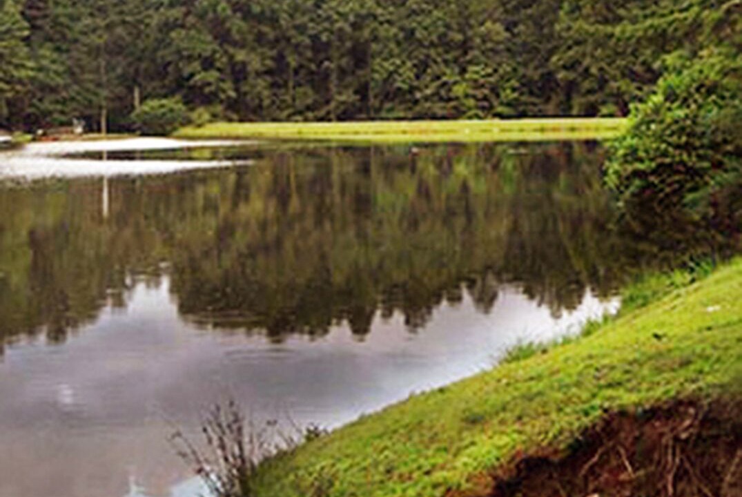 Photo of Outdoor in Saluda