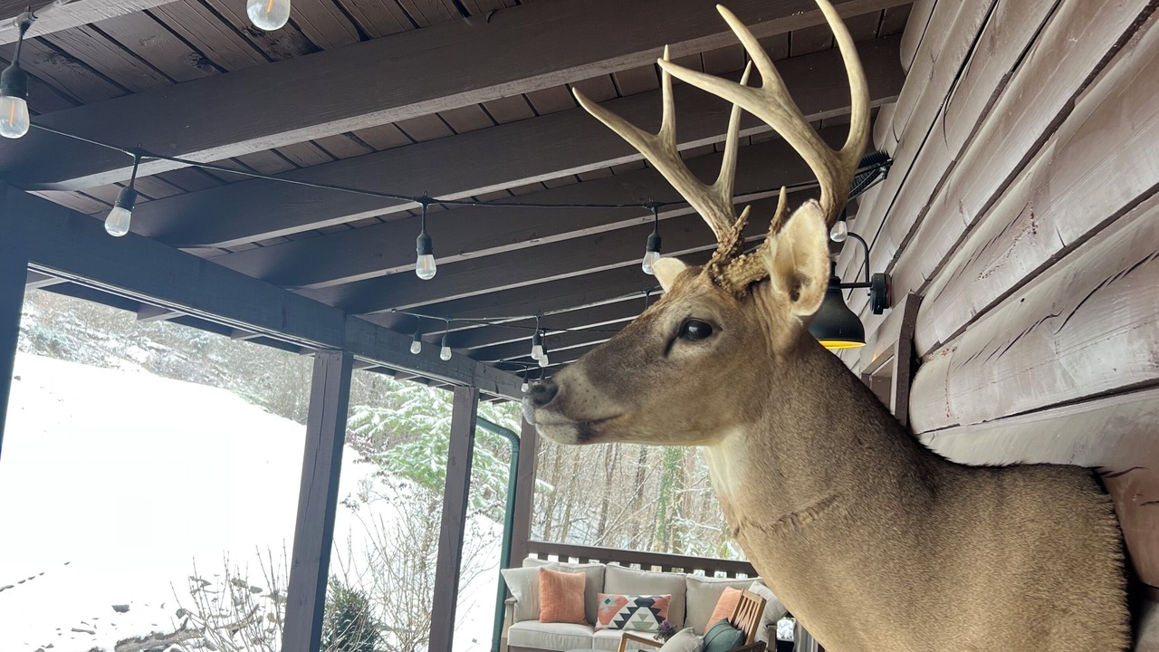 Photo of Outdoor in Silver Point
