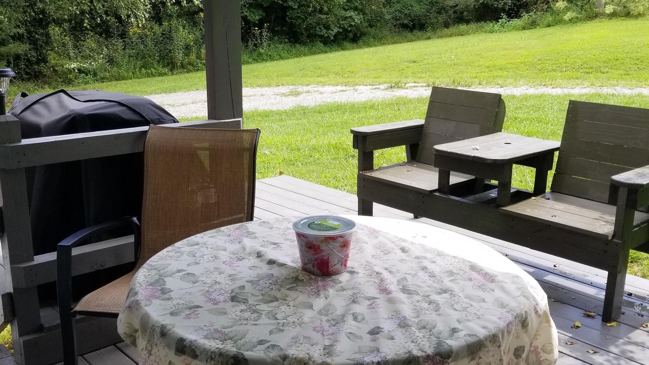 Photo of Outdoor in Mills River