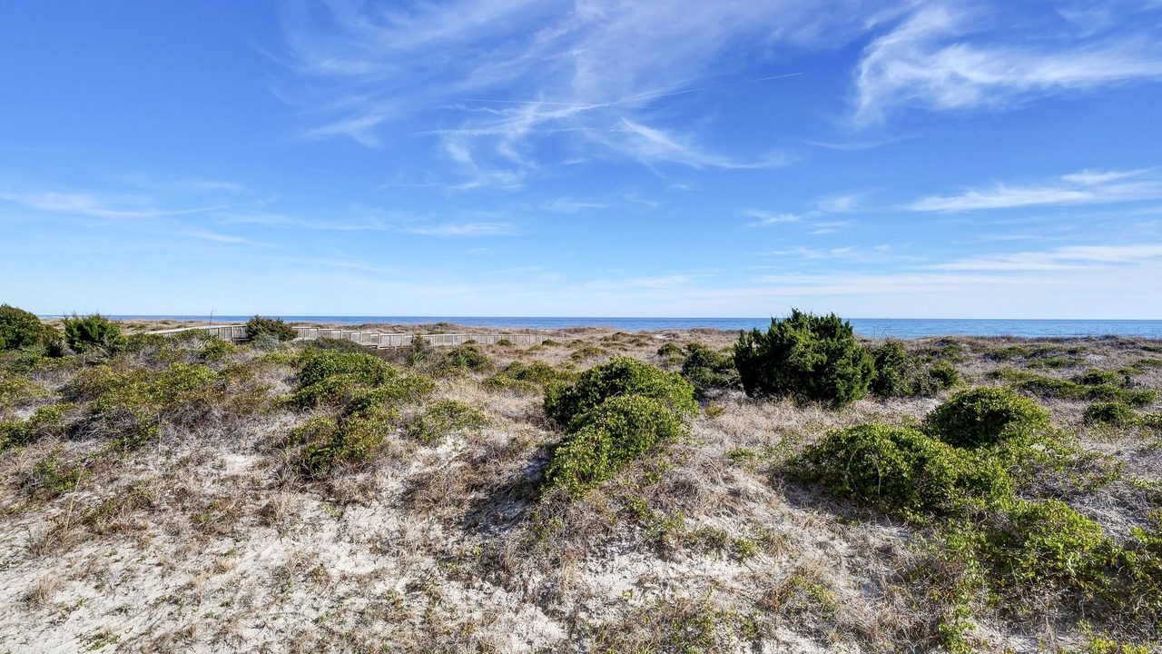 Photo of Others in Shell Island