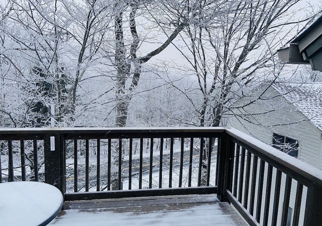 Photo of Others in Beech Mountain