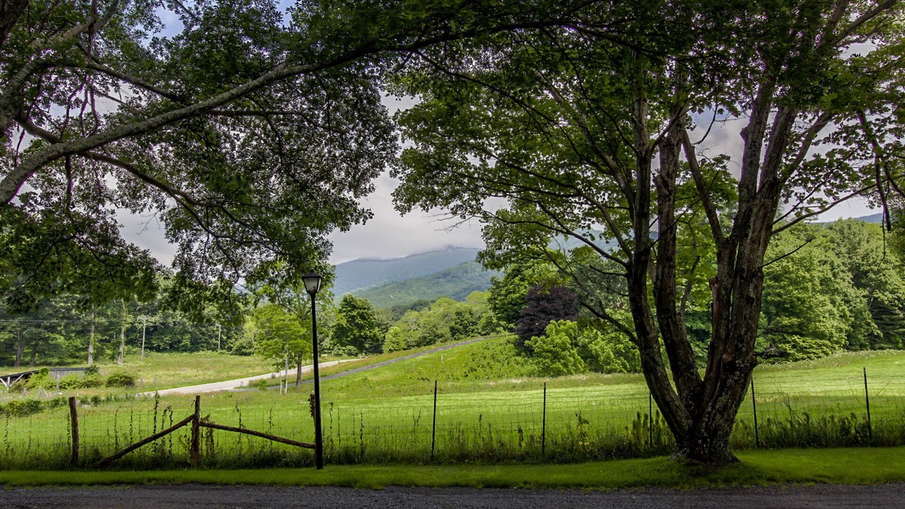 Photo of Outdoor in West Jefferson
