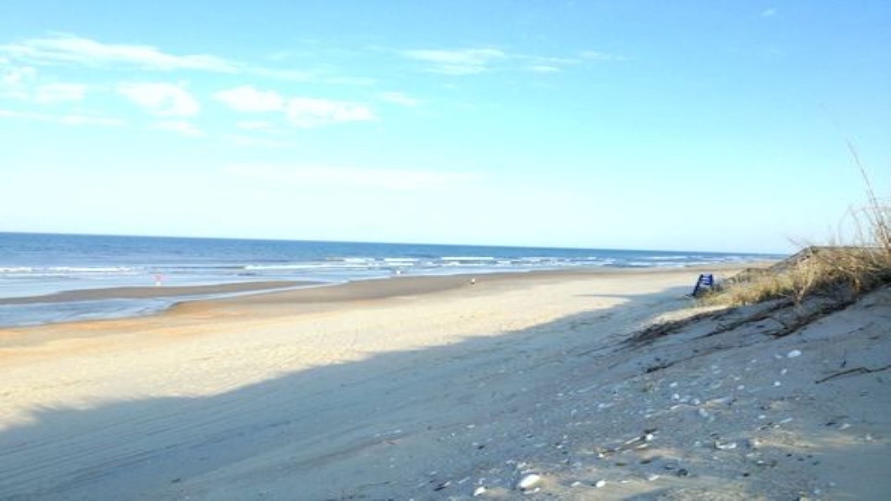 Photo of Others in Ocean Sands